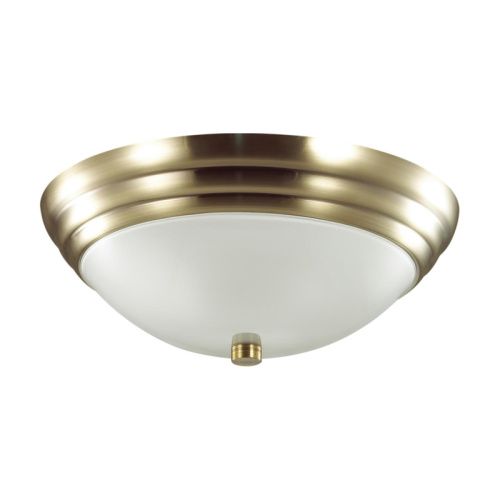 Настенно-потолочный светильник Lumion Vintage (Винтаге) 5262/2C