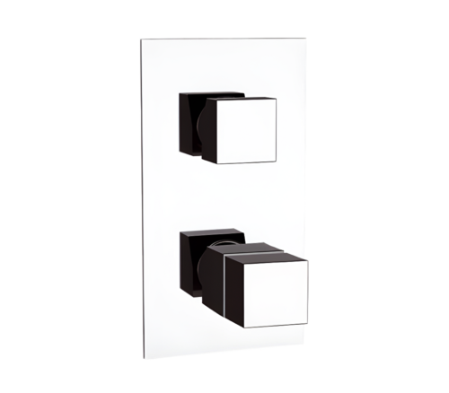 Смеситель для душа Remer Q-Elegance QT92 встраиваемый в стену хром с термостатом