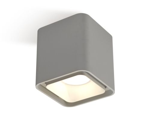 Светильник накладной Ambrella Light Techno (Тецхно) XS7842001