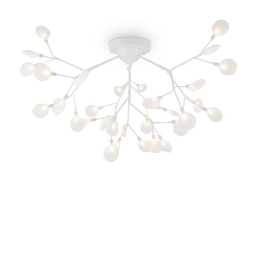 Светильник потолочный Freya Florencia FR5049CL-36W1