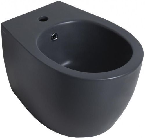 Биде Allen Brau Fantasy 4.11006.AN подвесное