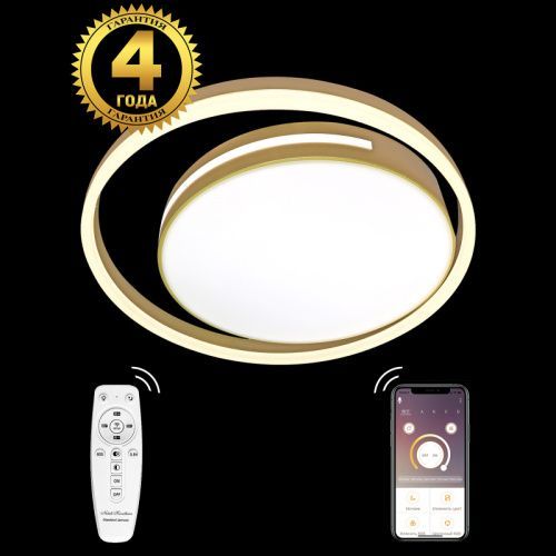 Люстра потолочная Natali Kovaltseva LED LAMPS (ЛЕД ЛАМПС) LED LAMPS 81304