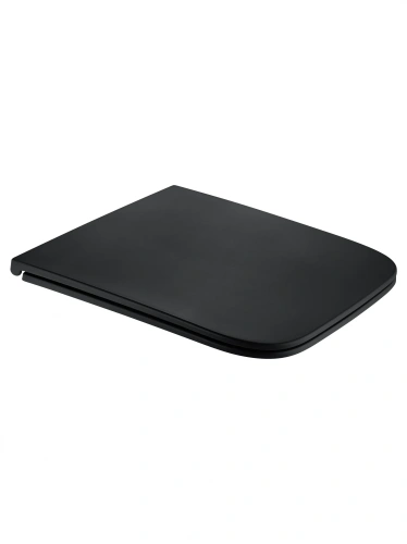 Крышка сиденье для унитаза Wonzon & Woghand WW-S2216-MB