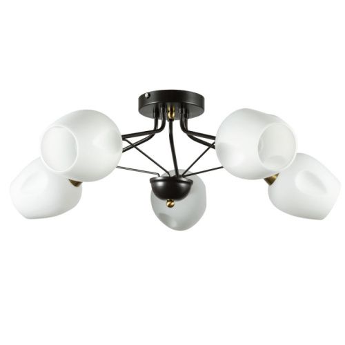 Люстра потолочная Arte Lamp Brighton (Бригхтон) A2706PL-5CK