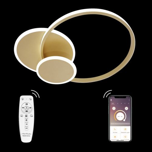 Люстра потолочная Natali Kovaltseva LED LAMPS (ЛЕД ЛАМПС) LED LAMPS 81306