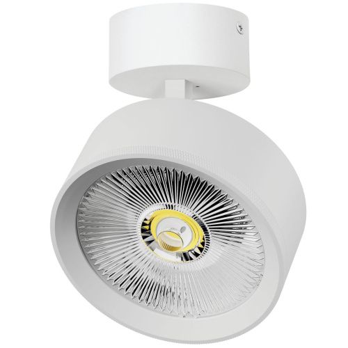 Светильник накладной Lightstar Alta Pro (Алта Про) A5736SO