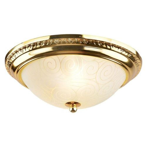 Светильник накладной Arte Lamp Alta (Алта) A3013PL-2GO