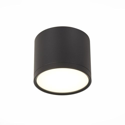 Светильник потолочный ST Luce Rene (Рене) ST113.442.09