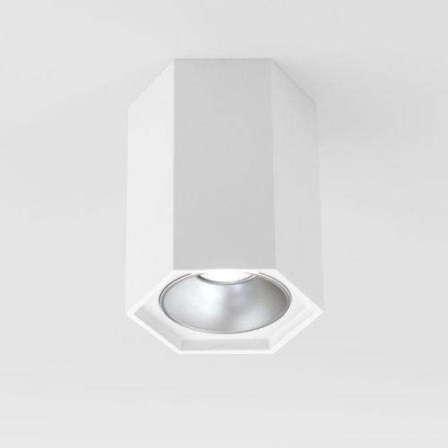 Светильник накладной Elektrostandard 25036-LED 4690389176487