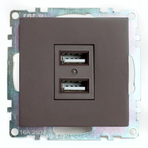 Розетка USB 2-местная Stekker Катрин 49027