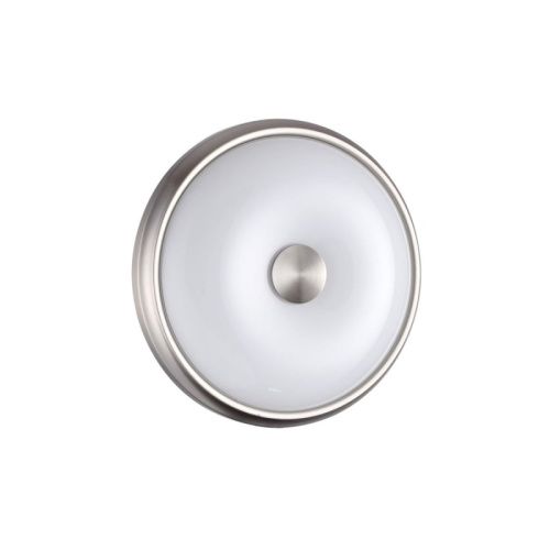 Настенно-потолочный светильник Odeon Light Pelow (Пелов) 4957/2