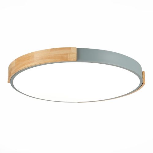 Светильник потолочный Evoluce Delia (Делиа) SLE201372-01