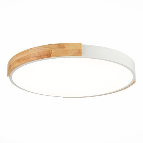 Светильник потолочный Evoluce Delia (Делиа) SLE201352-01