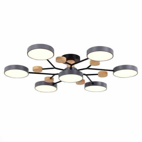 Люстра на штанге Evoluce Faema (Фаема) SLE6006-702-07