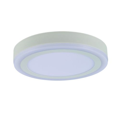 Светильник накладной Arte Lamp ANTARES (АНТАРЕС) A7824PL-2WH