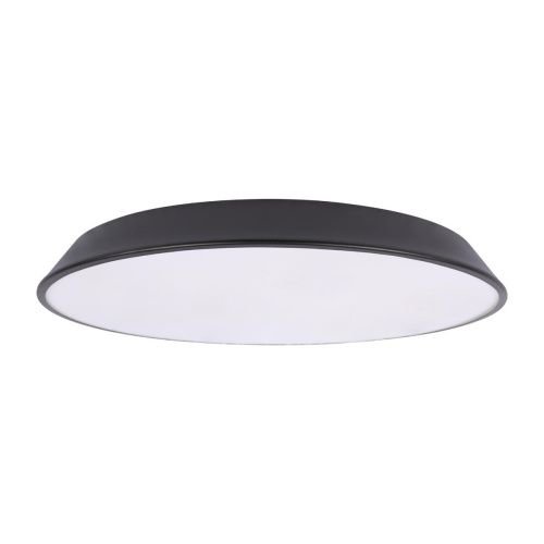 Светильник потолочный Loft It Brim 10226 Black