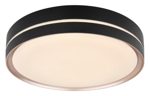 Светильник потолочный Globo Manni (Манни) 41759-24