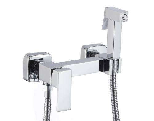 Смеситель с гигиеническим душем D-Lin D180201 настенный хром