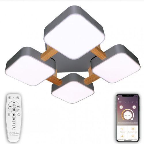 Светильник потолочный Natali Kovaltseva LED (ЛЕД) LED LAMPS 81324