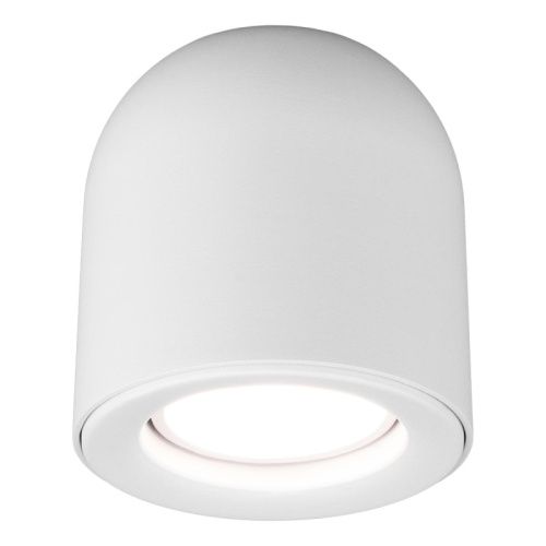 Светильник потолочный Elektrostandard Ogma (Огма) 4690389153303