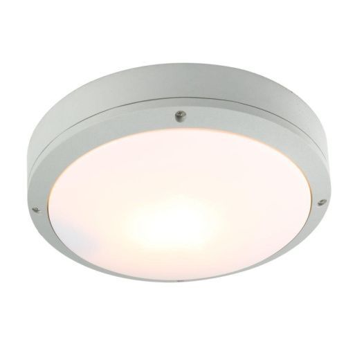 Уличный потолочный светильник Arte Lamp City (Циты) A8154PF-2GY