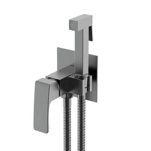 Гигиенический душ со смесителем Raglo R01.52.09 графит