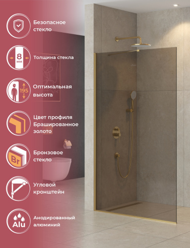 Душевая перегородка Cezares LIBERTA LIBERTA-L-1-TB-110-BR-BORO 110х195 стекло тонированное профиль золото