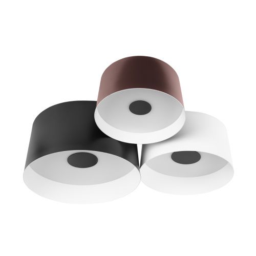 Светильник потолочный Loft It Duo 10360/3