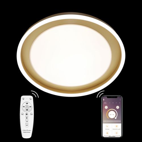 Люстра потолочная Natali Kovaltseva LED LAMPS (ЛЕД ЛАМПС) LED LAMPS 81301
