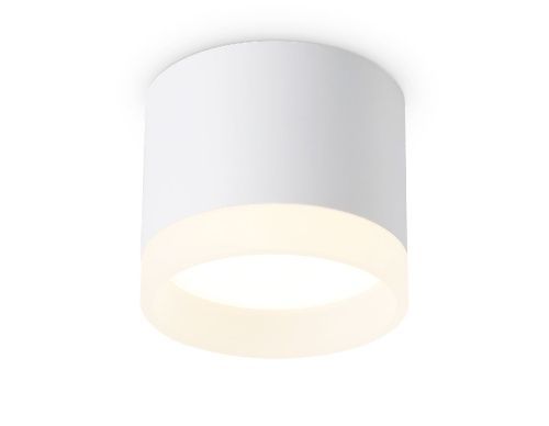Светильник накладной Ambrella Light Acrylic Frost (Ацрылиц Фрост) TN5365