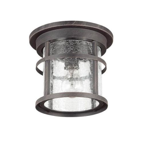 Уличный потолочный светильник Odeon Light Virta (Вирта) 4044/1C