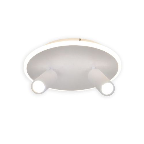 Настенно-потолочный светильник Escada 20046led 20046SMA/02LED WH