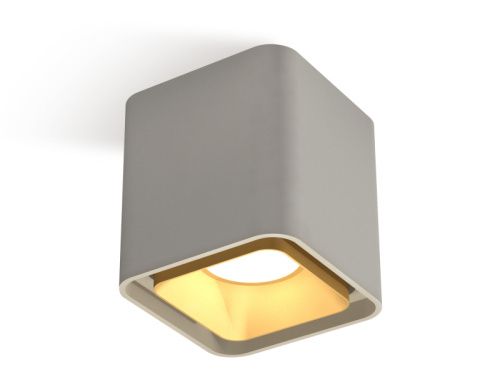 Светильник накладной Ambrella Light Techno (Тецхно) XS7842004