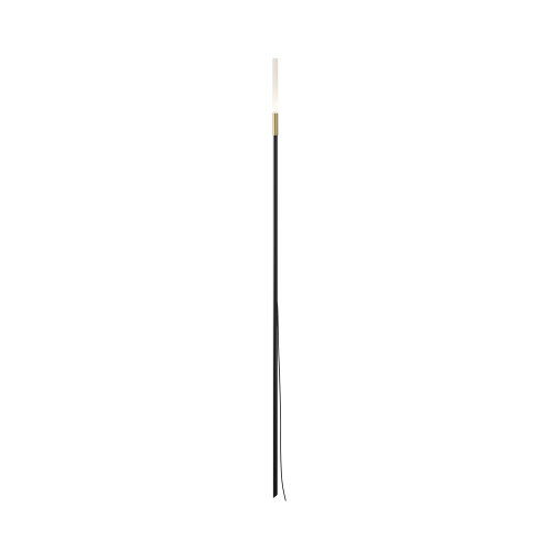 Светильник ландшафтный Maytoni Outdoor S (Блеск С) O524FL-L2B3K