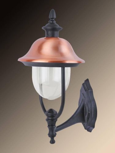 Уличный настенный светильник Arte Lamp Barcelona (Барцелона) A1481AL-1BK