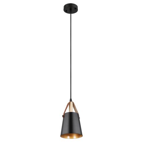 Светильник подвесной Arte Lamp Thomas (Тхомас) A7032SP-1BK