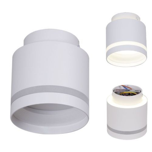 Светильник накладной Reluce 53001-9.5-001IL GX53+LED3W WT