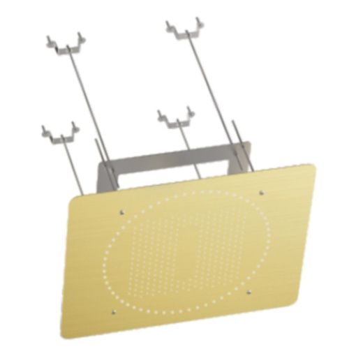 Верхний душ Raglo R452.03.03 золотой сатин