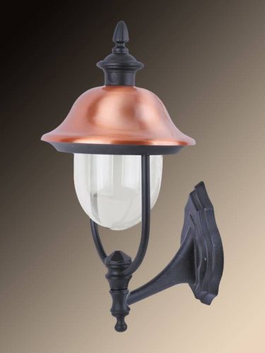 Уличный настенный светильник Arte Lamp Barcelona (Барцелона) A1482AL-1BK