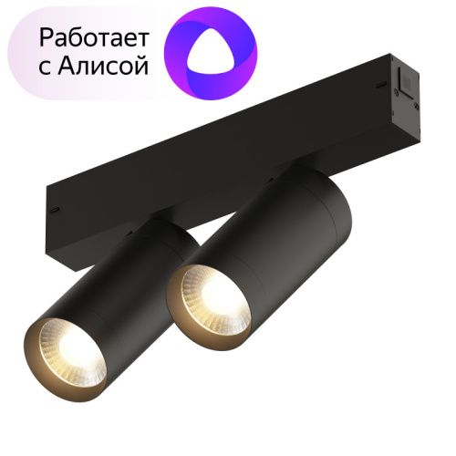 Трековый светильник Denkirs Smart Spot (Смарт Спот) DK8012-BK