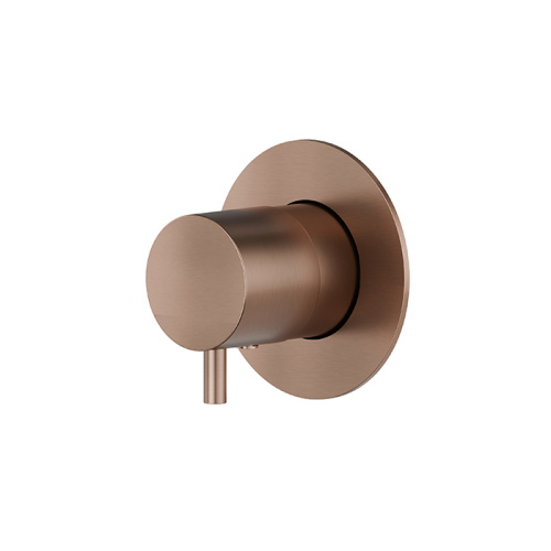 Смеситель для душа Newform X-STEEL 316 67671EX.59.067 встраиваемый в стену медь без термостата