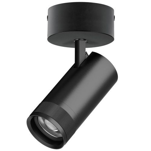 Светильник накладной Lightstar Canno Pro (Цанно Про) C4307SO