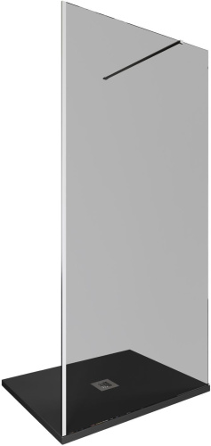 Душевая перегородка Allen Brau Infinity 3.21014.BA.T 100х200 стекло тонированное профиль серебро брашированное