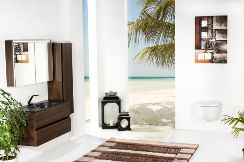 Зеркало-шкаф Armadi Art Vallessi 546-D 100х65 подвесной цвет коричневый Зеркало-шкаф Armadi Art Vallessi 546-D 100х65 подвесной цвет коричневый