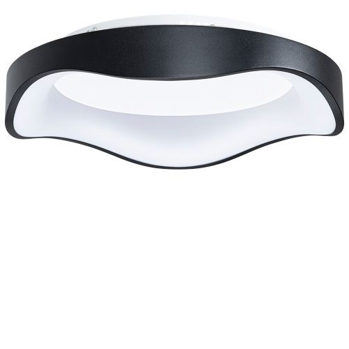 Светильник потолочный Arte Lamp Ankaa (Анкаа) A3085PL-48BK