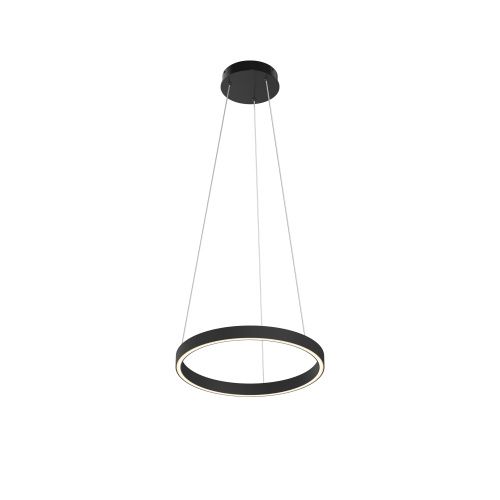 Светильник подвесной Maytoni Rim Modern MOD058PL-L22BK