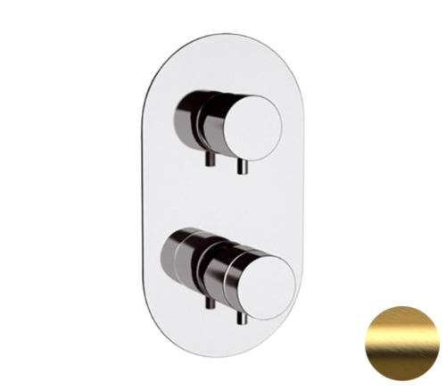 Смеситель для душа Remer Elegance NT92BG встраиваемый в стену золото с термостатом