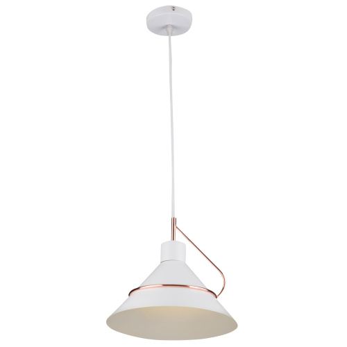 Светильник подвесной Freya Amis (Эмис) FR5025PL-01W