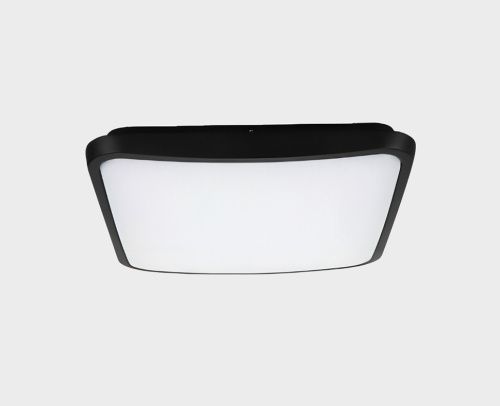 Уличный потолочный светильник Italline IT60 IT6012