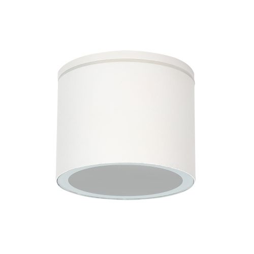 Уличный потолочный светильник Arte Lamp Piautos (Пиаутос) A1913PF-1WH